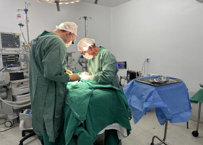 Gêmeos siameses recém-nascidos morrem em Goiás após cirurgias