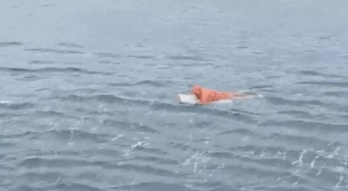 Homem agarrado a porta de geladeira é resgatado após naufrágio em SC