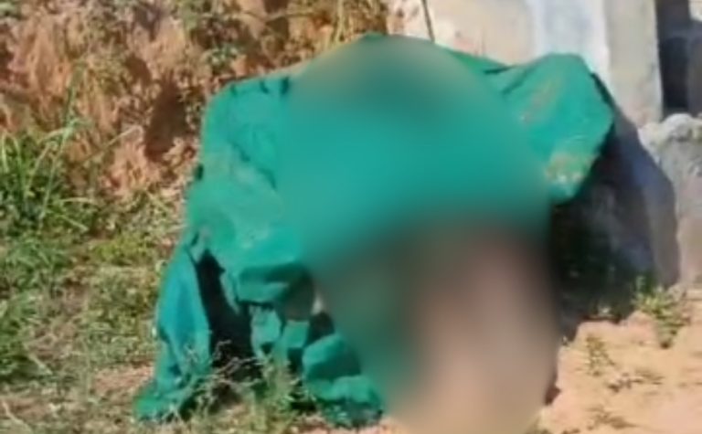 Jovem é encontrado morto em área de mata na Serra