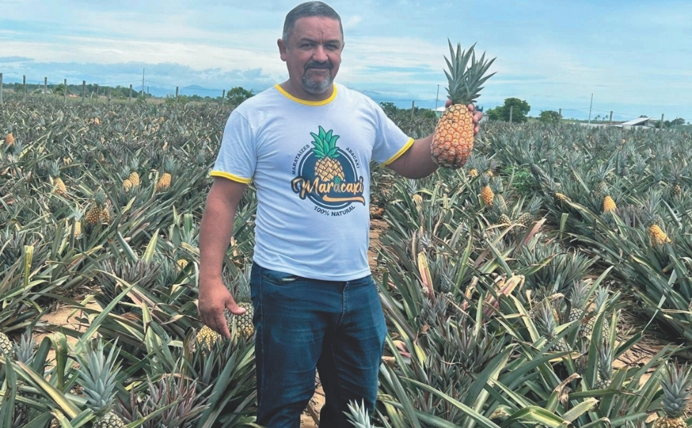 Marataízes: inovação na terra do abacaxi “doce como mel”
