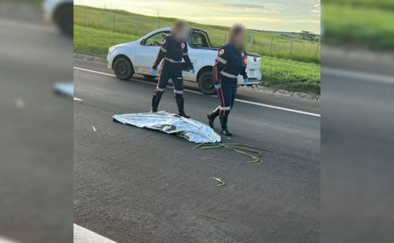 Mulher declarada morta após atropelamento em rodovia é reanimada minutos depois