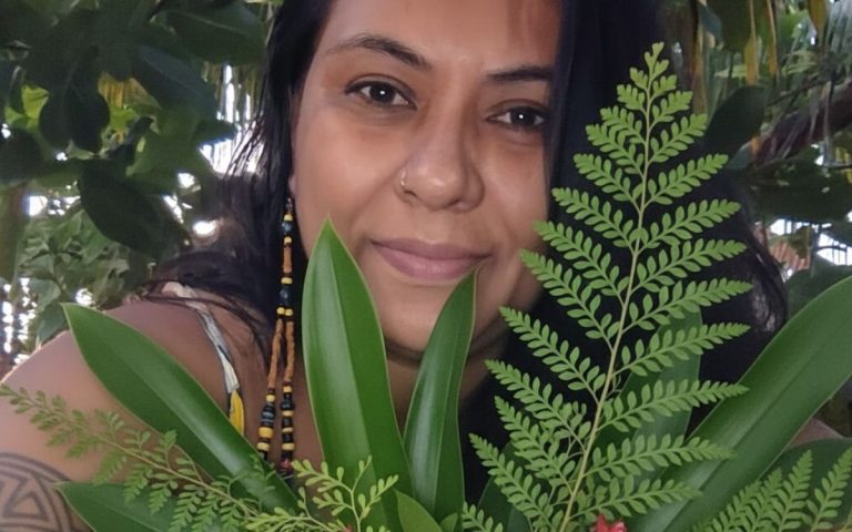 O que a floresta ensina sobre cura emocional, imunidade e autocuidado