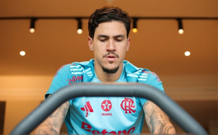 Pedro antecipa o retorno das férias e se apresenta