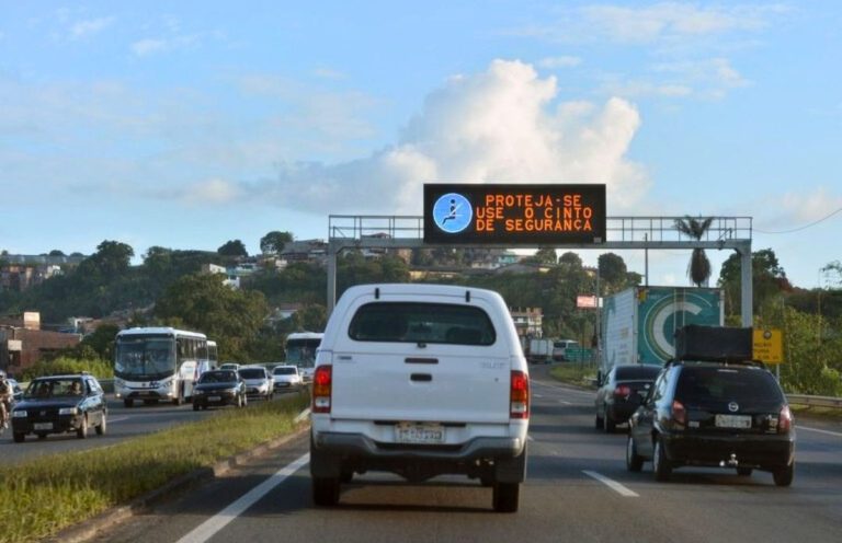 Sem fila e de graça: quase 13 mil pernambucanos já renovaram a CNH