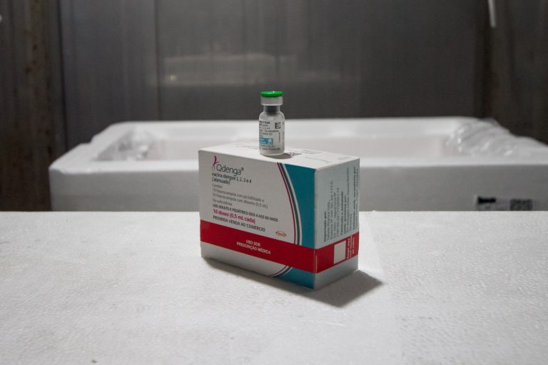 Vacina contra a dengue: Pernambuco inicia a imunização para crianças e adolescentes