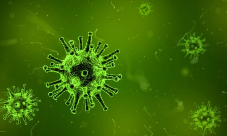 Vírus Nipah: como é transmitido? Pode chegar ao Brasil? Quais os sintomas?