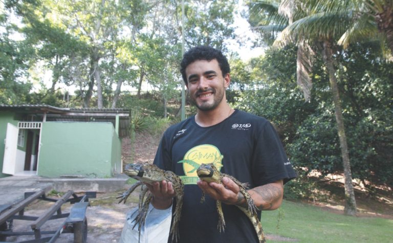 A cada 3 dias, um jacaré é resgatado na Grande Vitória