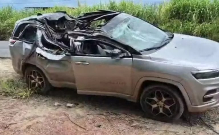 Árvore cai sobre carro e mata criança de 1 ano em MG