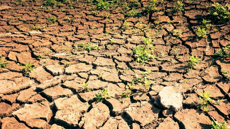 Avanço da “seca extrema” em Pernambuco atinge 72 municípios em 2026