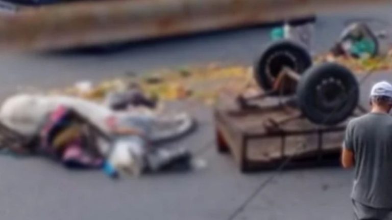 Cavalo morre após colisão com ônibus em Boa Viagem