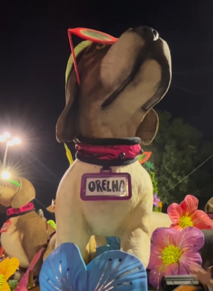 Com enredo sobre Rita Lee, Mocidade homenageia cão Orelha em alegoria