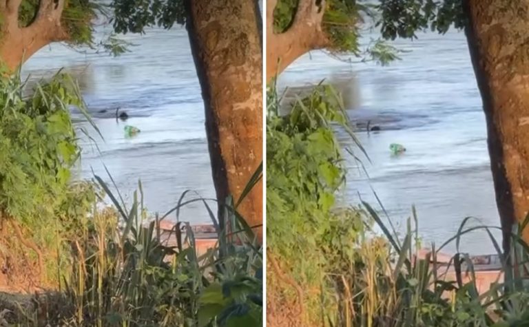 Criança de 10 anos morre afogada no Rio Doce, no Norte do ES