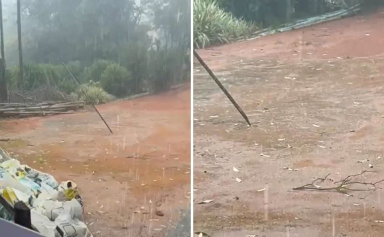 Temporal com granizo derruba árvores e bloqueia vias em cidade do ES
