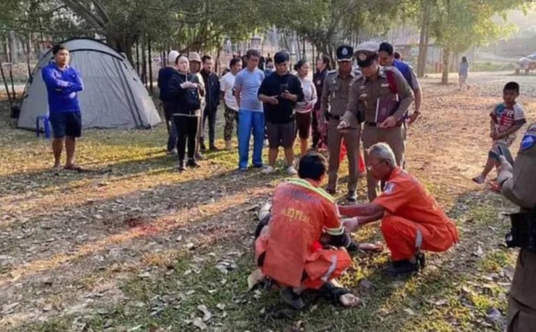 Turista morre pisoteado por elefante em parque nacional na Tailândia