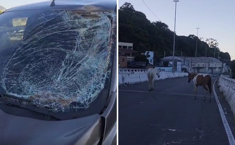 VÍDEO | Carro fica destruído após atropelar cavalos na descida da Segunda Ponte