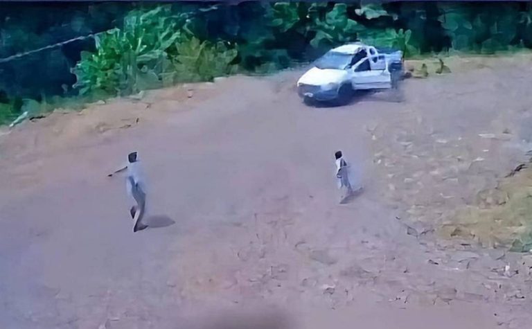 VÍDEO | Gêmeos de 6 anos soltam freio de mão e carro cai em ribanceira no Paraná