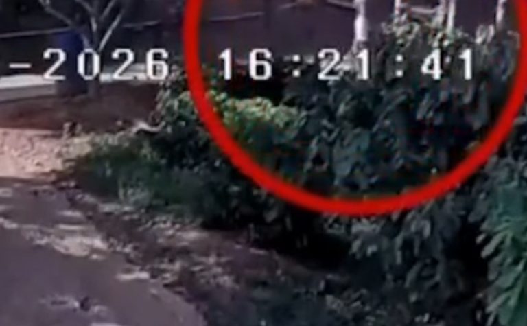 VÍDEO | Homem é morto a tiros após se envolver em briga em bar no Noroeste do ES
