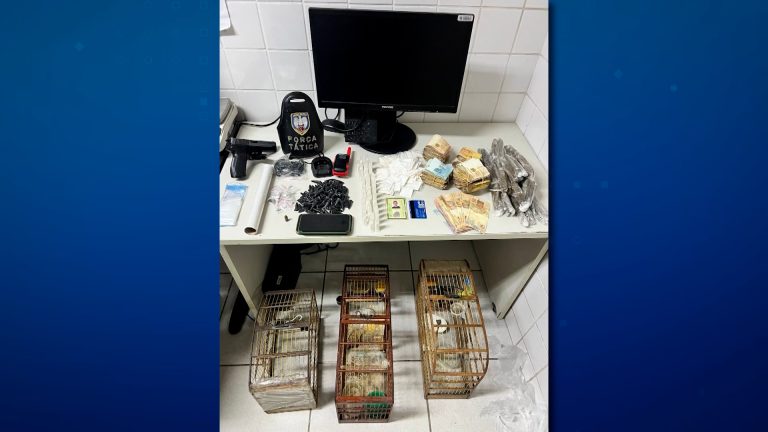 Advogada e outros dois suspeitos são detidos em ação contra tráfico na Serra