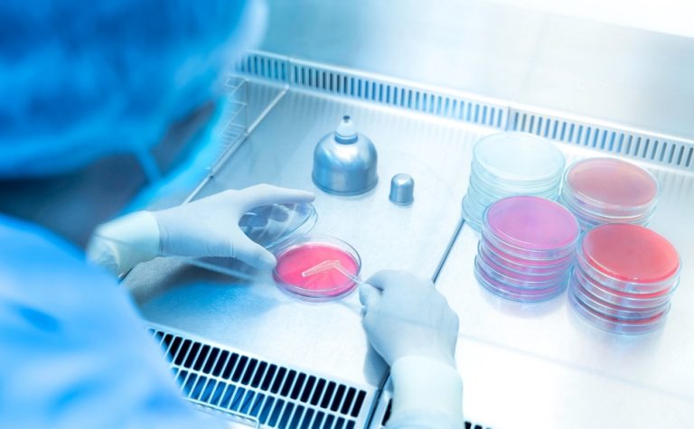 Bactéria resistente se espalha fora de hospitais e desafia protocolos médicos