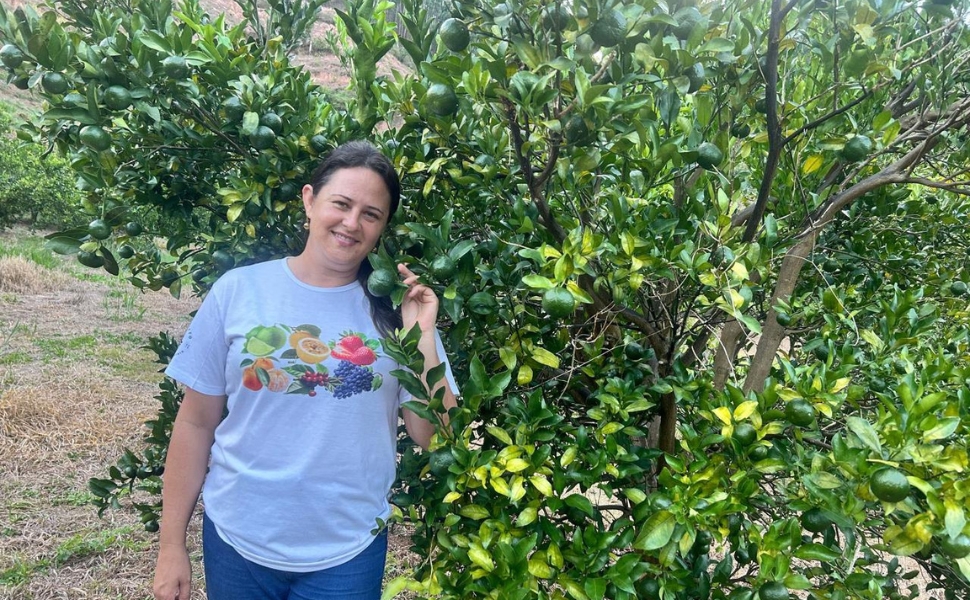 Conceição do Castelo: turismo rural cresce com safra de tangerina ponkan