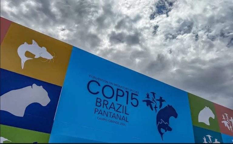 Cúpula de líderes orienta debates para COP15 em Mato Grosso do Sul