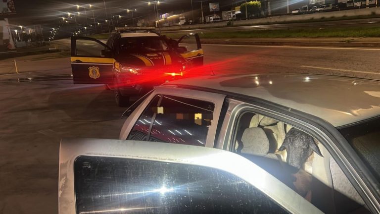 Dezoito bodes são empilhados em carro na BR-104; sete morrem sufocados