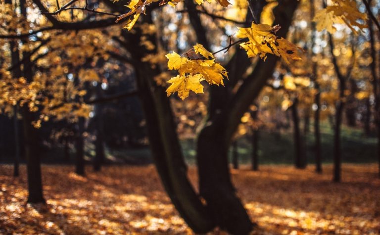 Fim do verão: Como vai ser o clima durante o outono no ES?