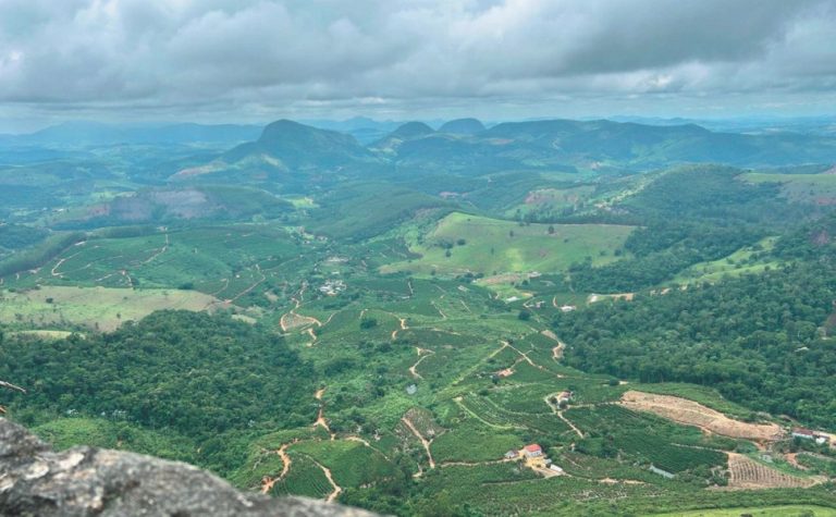 Linhares e Colatina: atrativos para curtir de Regência a São Pedro Frio