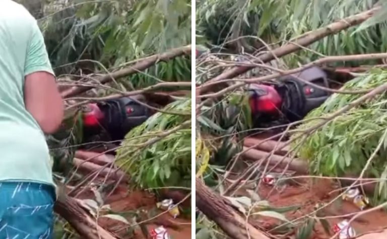 Motociclista morre após colidir em árvore que caiu durante temporal em Colatina