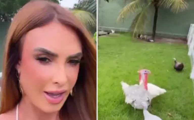 Nicole Bahls batiza peru de Juliano Floss e justifica: ‘Bonzinho e inteligente’