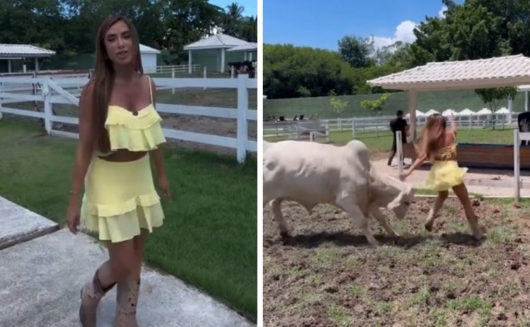 Nicole Bahls quase é atingida por cabeçada de vaca em momento inusitado