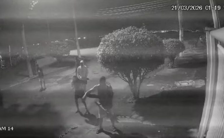 Oito homens espancam capivara com pedaços de pau no Rio de Janeiro