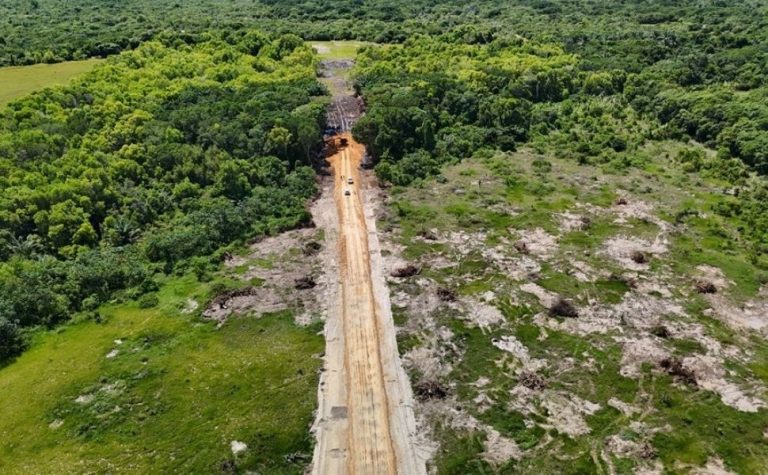 Operação interrompe obra irregular em área ambiental no Norte do ES