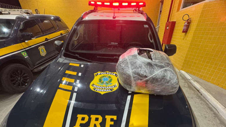 PRF apreende 5,4 kg de maconha escondidos sob estepe em Petrolina