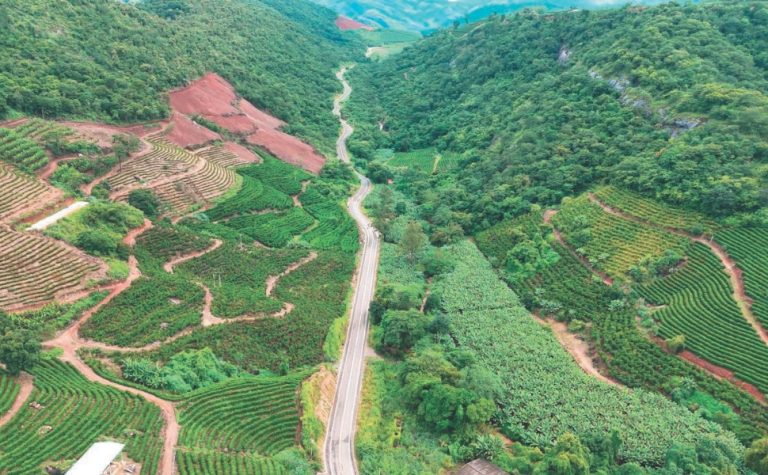 Pavimentação de rodovia fortalece agricultura e muda realidade em Itarana