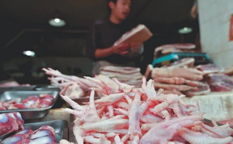 Pé de galinha produzido no ES atrai interesse milionário da China