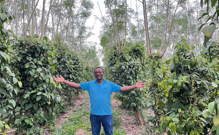 Produtores antecipam compra de fertilizante