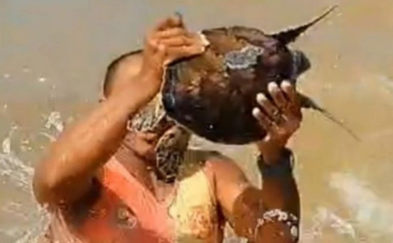 Tartaruga é resgatada após ficar presa em rede de pesca no ES