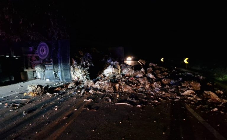 Trecho da BR-101 no Sul do ES é liberado após tombamento de caminhão