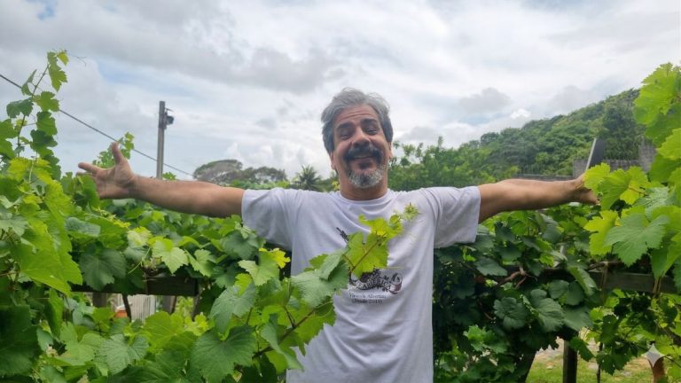 Uvas de volta ao berço: Itamaracá aprova Título de Cidadão para biólogo pioneiro