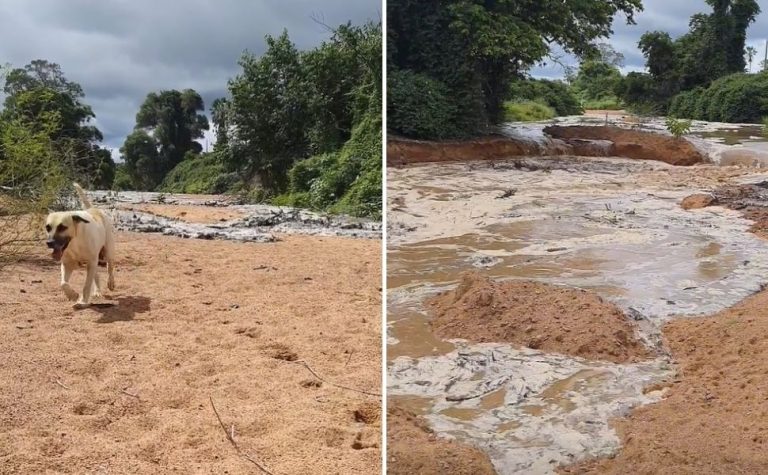 VÍDEO | Influencer registra momento em que água volta a correr em rio após seca