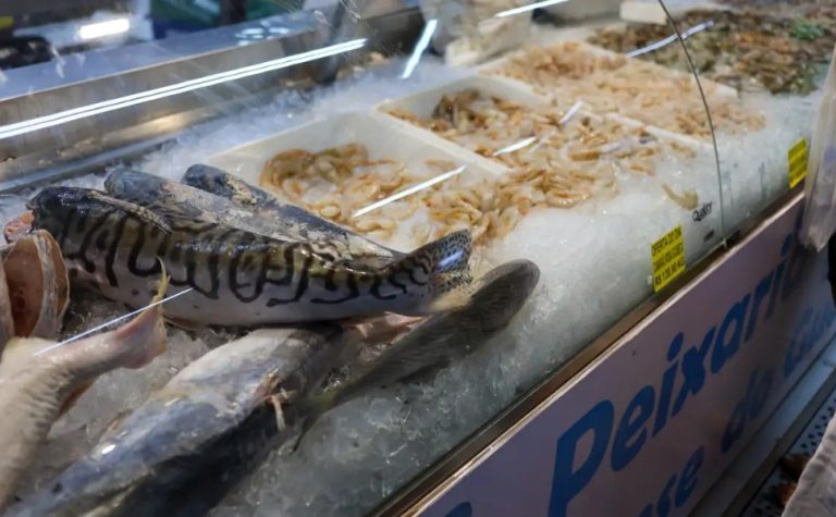 Vigilância Sanitária orienta sobre compra de pescado na Semana Santa