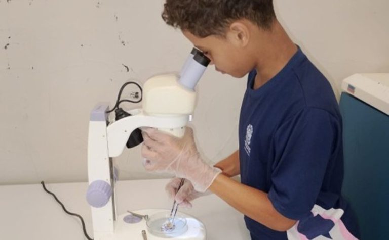 Aluno capixaba é finalista de prêmio internacional com projeto de bioplástico