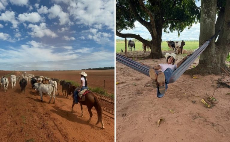 Ana Castela planeja pausa na carreira para ajudar o pai na Fazenda