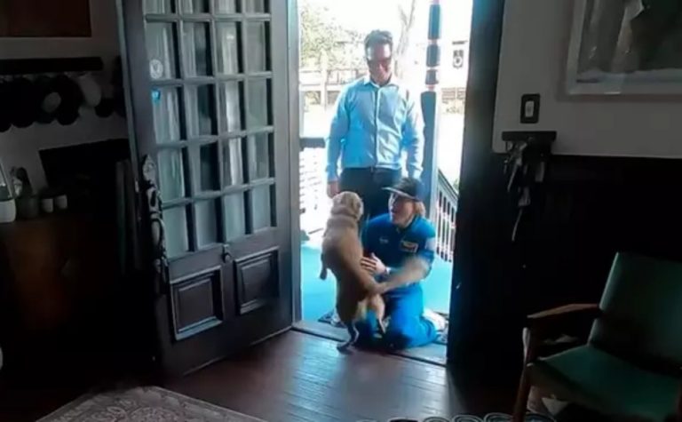 Astronauta da Artemis II grava reencontro com cachorro de estimação após missão