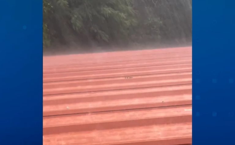 Chuva forte com granizo derruba árvores e provoca transtornos em cidades do ES