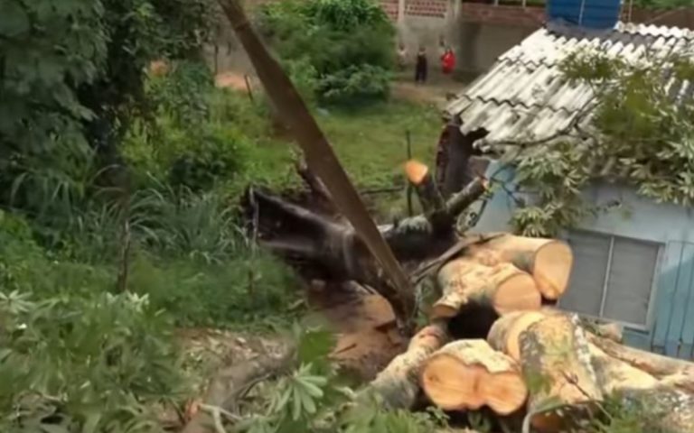 Chuvas deixam oito famílias desalojadas e causam 52 ocorrências em Paulista