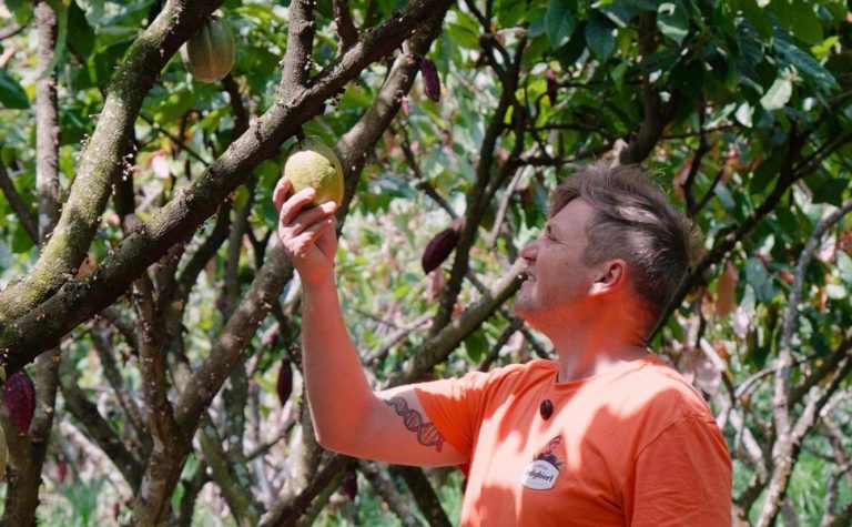 De floresta de cacau a produção de cerveja artesanal em Santa Teresa