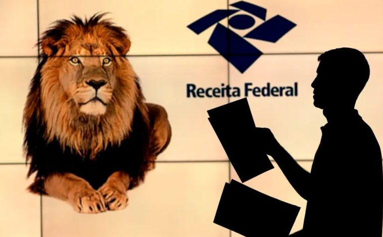 Declaração do IR permite doar parte do Imposto a fundos de crianças e idosos