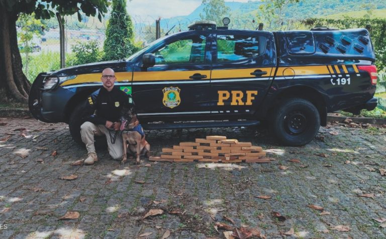 ES registra apreensão de quase 10 toneladas de drogas em um ano